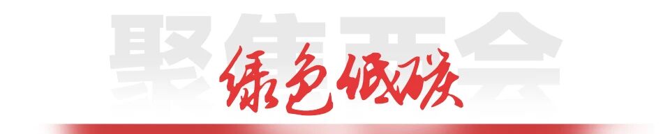 九五至尊VI-老品牌值得信任!